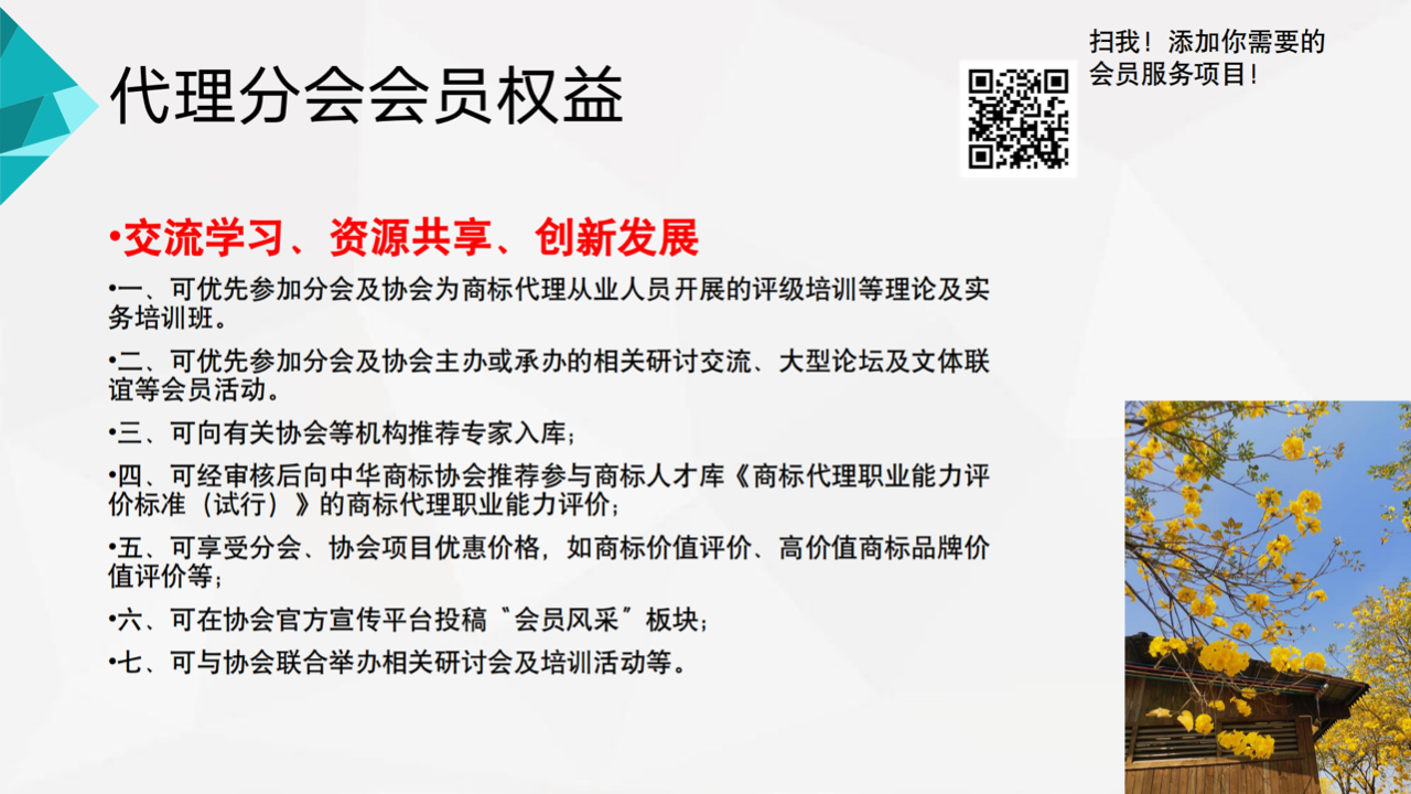 2023年广东商标协会商标代理分会会员须知