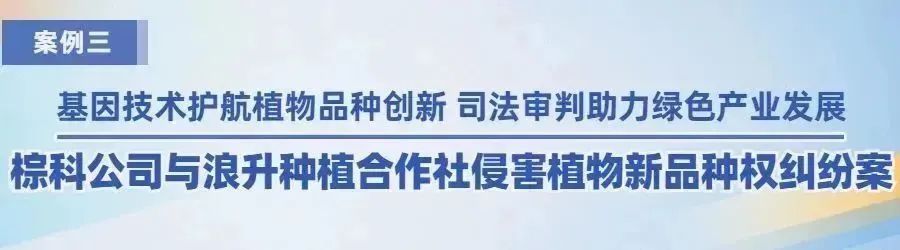 广州知识产权法院2022年度十大典型案例
