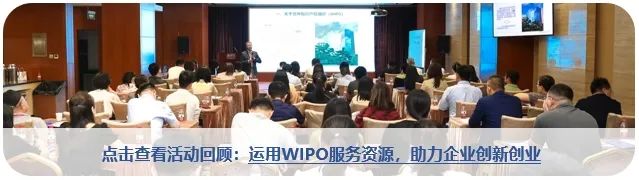 精彩回顾 | 中日韩三国律师齐聚，共话企业出海IP保护秘籍