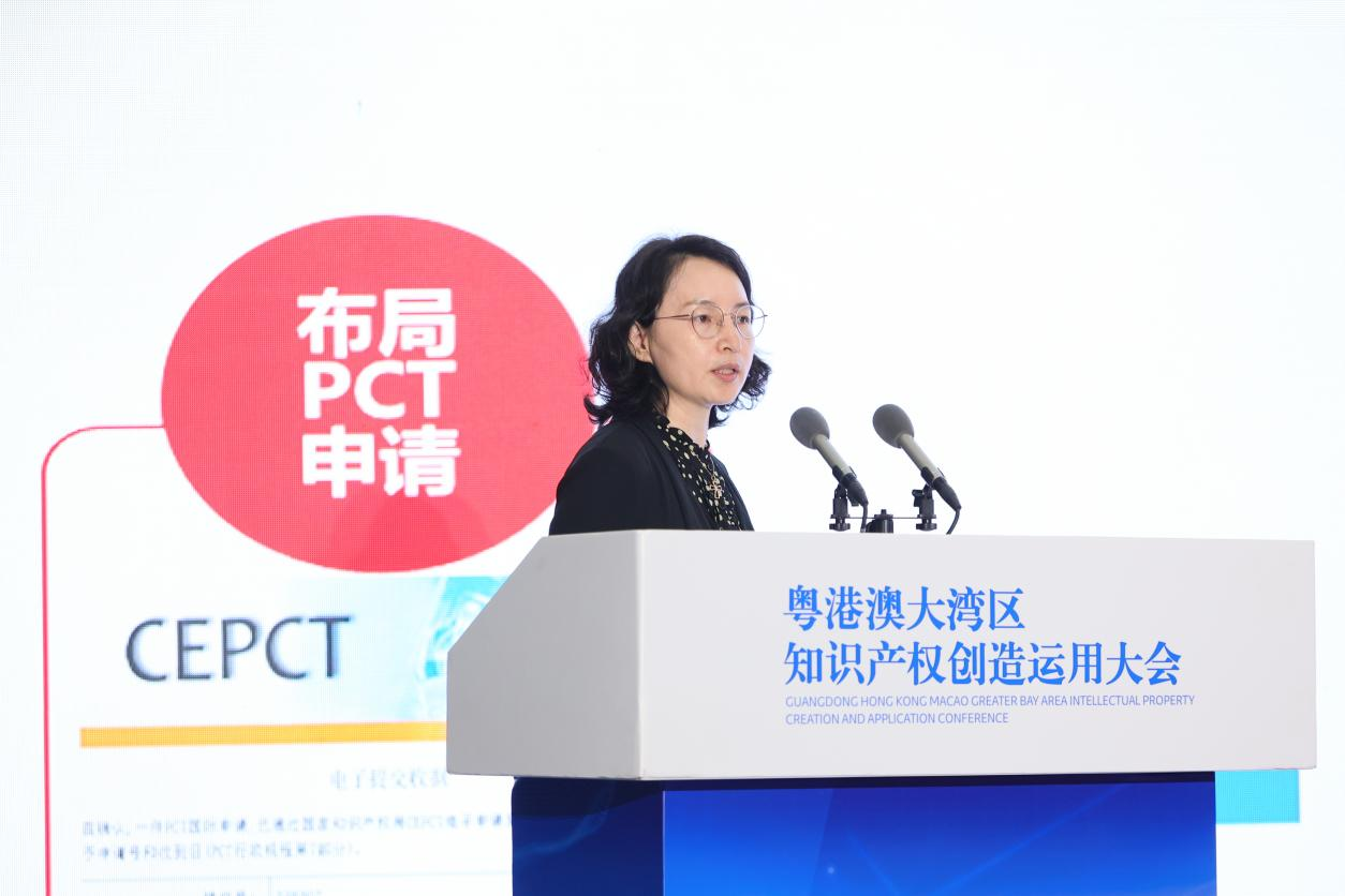 IPR Daily成功承办粤港澳大湾区知识产权创造运用大会“知识产权经典案例及经验分享宣传专区”活动