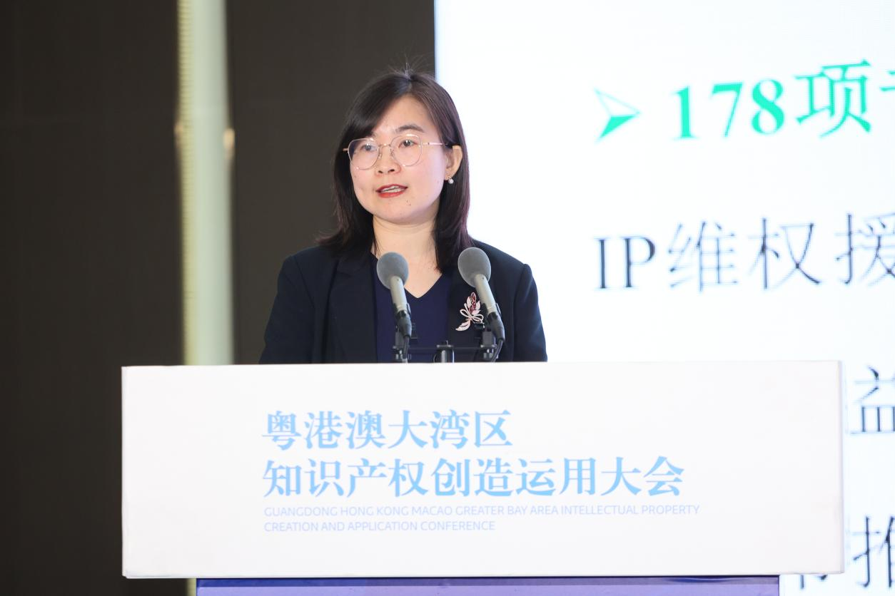 IPR Daily成功承办粤港澳大湾区知识产权创造运用大会“知识产权经典案例及经验分享宣传专区”活动