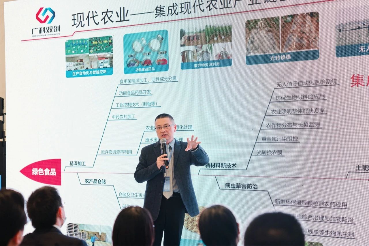 “粤港澳大湾区知识产权创造运用大会”系列活动——县域产业知识产权需求暨招商引智对接活动成功举办