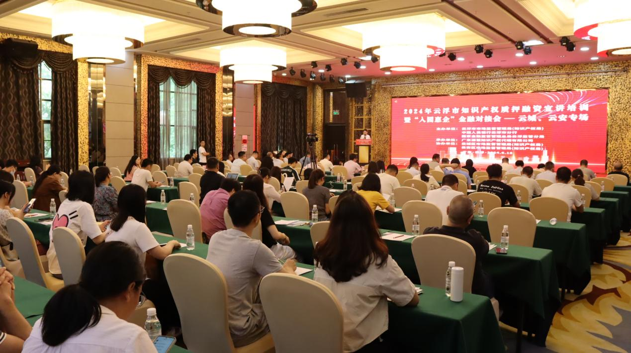 云浮市2024年知识产权质押融资宣讲培训暨“入园惠企”金融对接会顺利举办