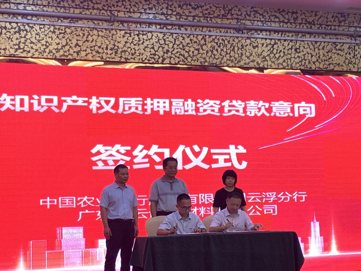 云浮市2024年知识产权质押融资宣讲培训暨“入园惠企”金融对接会顺利举办