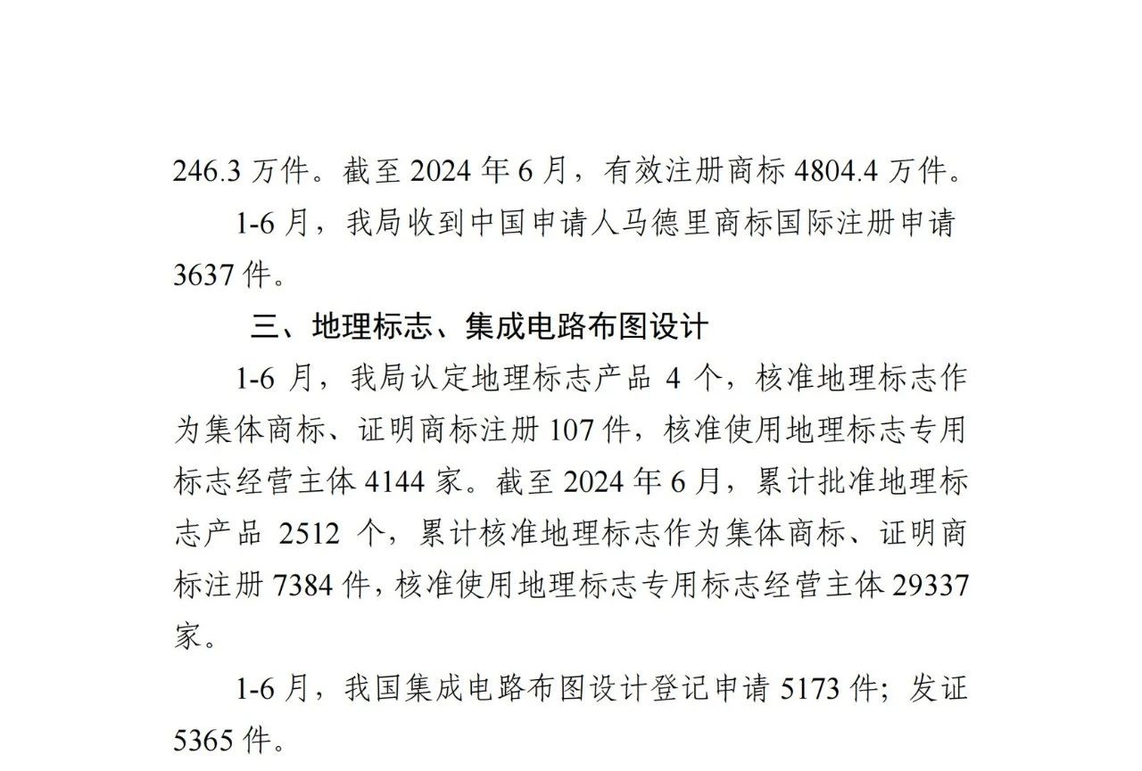 2024年1-6月专利、商标、地理标志等知识产权主要统计数据 | 附数据详情