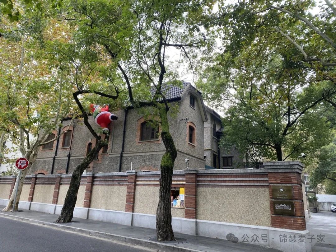 麦子家智享沙龙 2024.11.22上海站之面向价值实现的法务合规风控和知识产权运营 回顾文