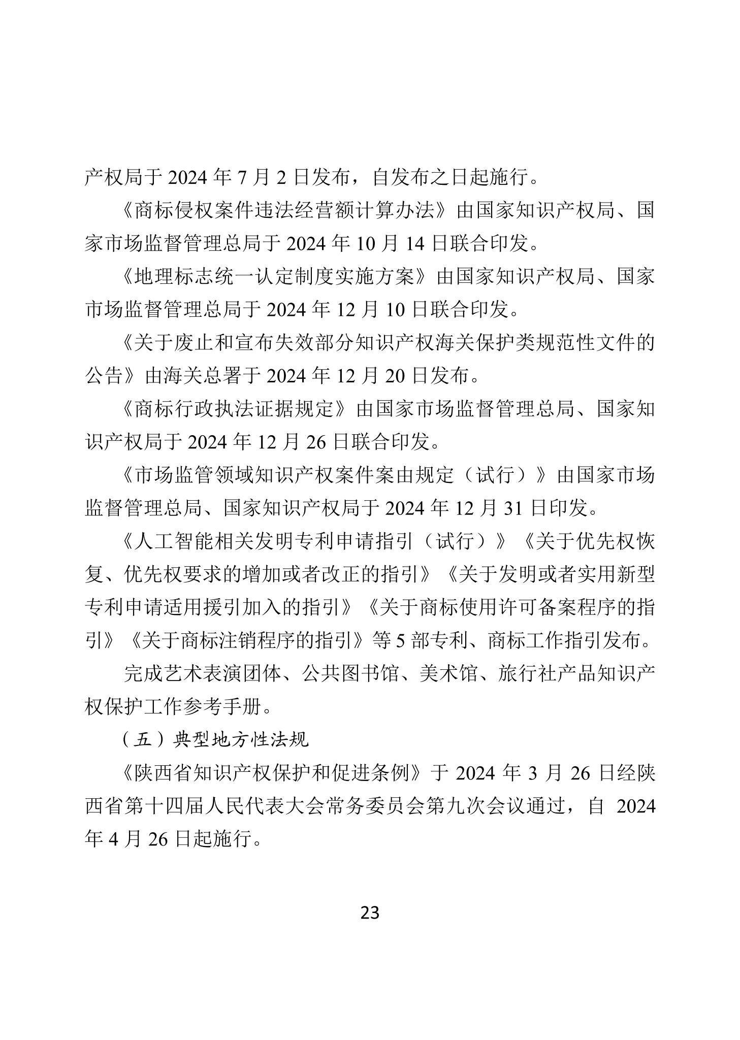 二〇二四年中国知识产权保护状况_26