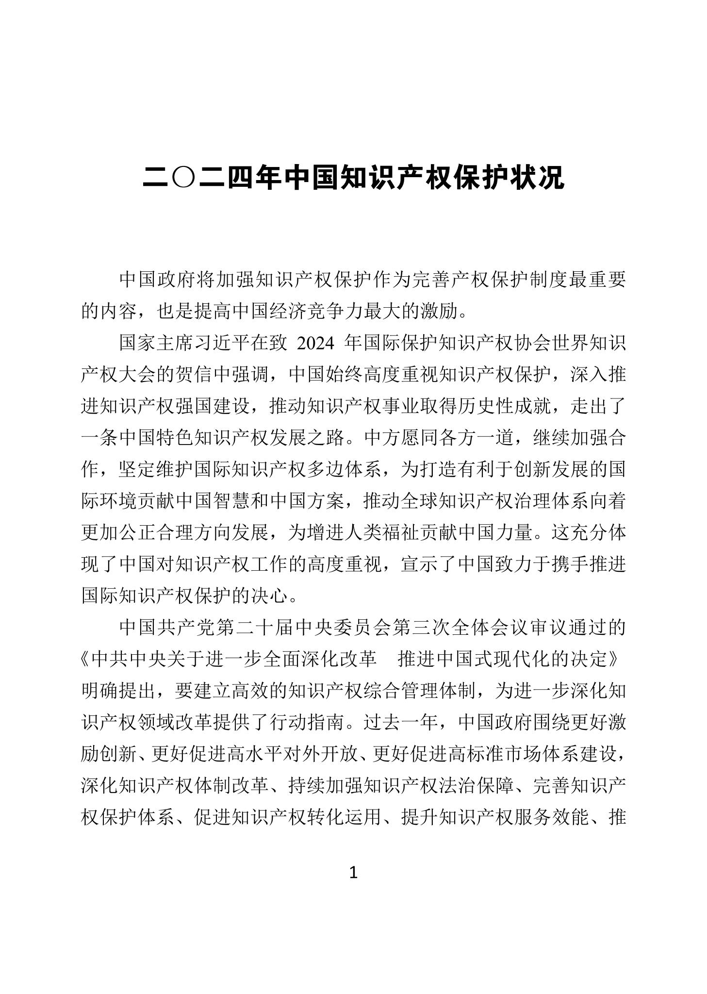二〇二四年中国知识产权保护状况_04