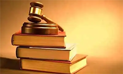 在打击非正常专利申请、专利代理违法行为、恶意重复侵权等方面与法院系统形成合力！