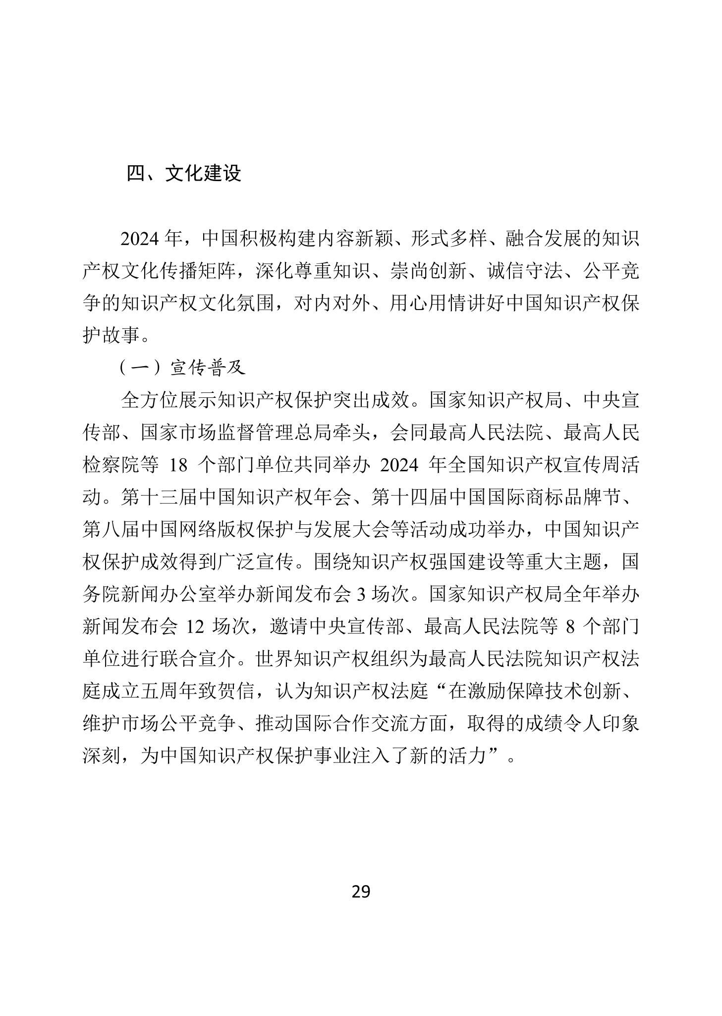 二〇二四年中国知识产权保护状况_32