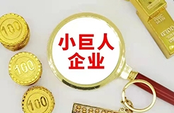 《关于大力培育“专精特新”中小企业促进高质量发展的若干意见（公开征求意见稿）》全文！
