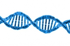 最高法谈｜微生物发明专利的侵权认定