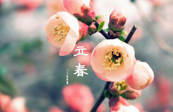节日IP记 | 立春：春风起 奏响知产乐章