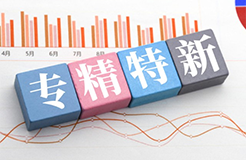浅谈知识产权融资租赁如何提升专精特新企业自我造血能力