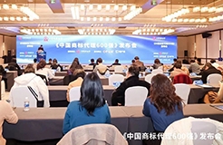 《中国商标代理600强》榜单首次发布