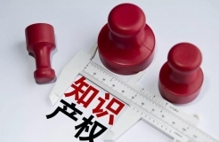 陶凯元：为新质生产力发展提供有力知识产权司法保护