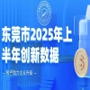 一图读懂东莞市2025年上半年创新数据 