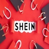 从程序到实体的多轮攻防：SHIEN.COM域名案获胜纪实 