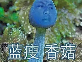“蓝瘦香菇”被抢注：深圳蓝瘦香菇实业成立，注册资本50万